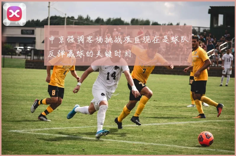申京强调客场挑战艰巨现在是球队反弹赢球的关键时刻
